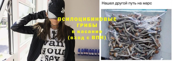 гидра Алзамай