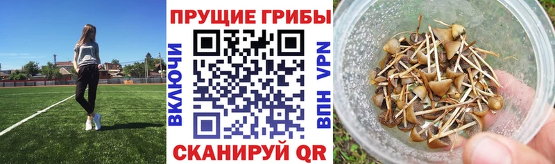 Псилоцибиновые грибы ЛСД  Миасс 